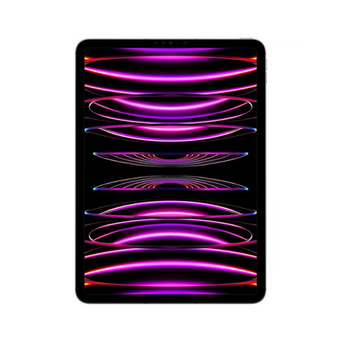 Apple iPad Pro 12,9 pouces (6e génération, 2022) Puce M2 - 512 Go Wi-Fi + Cellular - Gris sidéral