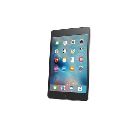 Apple iPad Mini 7,9 pouces (4e génération, 2015) - 128 Go - Gris sidéral
