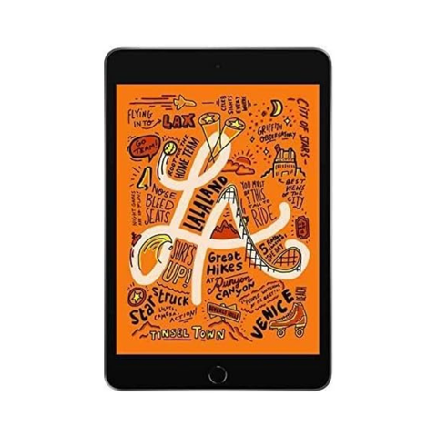 Apple iPad Mini 7,9 pouces (5e génération, 2019) - 64 Go - Gris sidéral