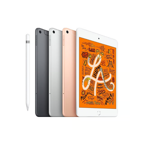 Apple iPad Mini 7,9 pouces (5e génération, 2019) - 64 Go - Gris sidéral