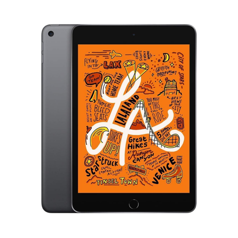 Apple iPad Mini 7,9 pouces (5e génération, 2019) - 256 Go Wi-Fi + Cellular - Gris sidéral