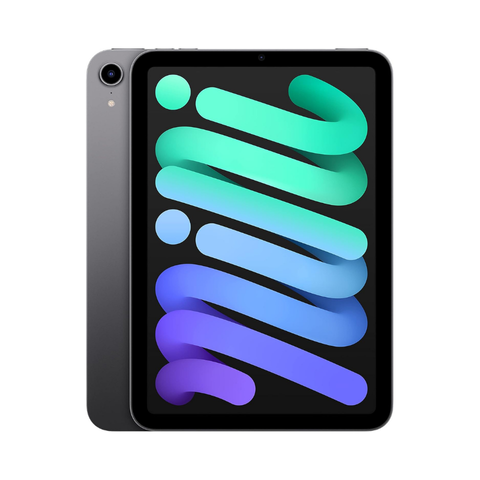 Apple iPad Mini 8,3 pouces (6e génération, 2021) - 64 Go Wi-Fi + Cellular - Gris sidéral