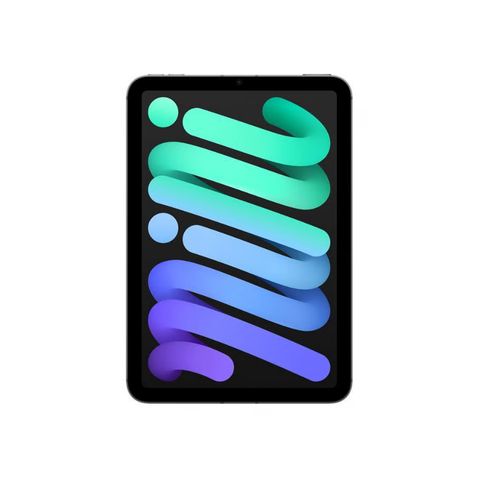 Apple iPad Mini 8,3 pouces (7e génération, 2024) A17 Pro - 256 Go - Gris sidéral
