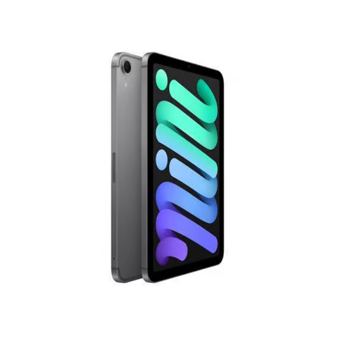 Apple iPad Mini 8,3 pouces (7e génération, 2024) A17 Pro - 512 Go - Gris sidéral