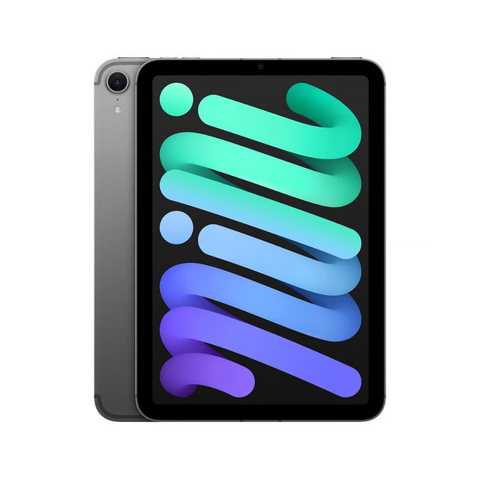 Apple iPad Mini 8,3 pouces (7e génération, 2024) A17 Pro - 256 Go - Gris sidéral